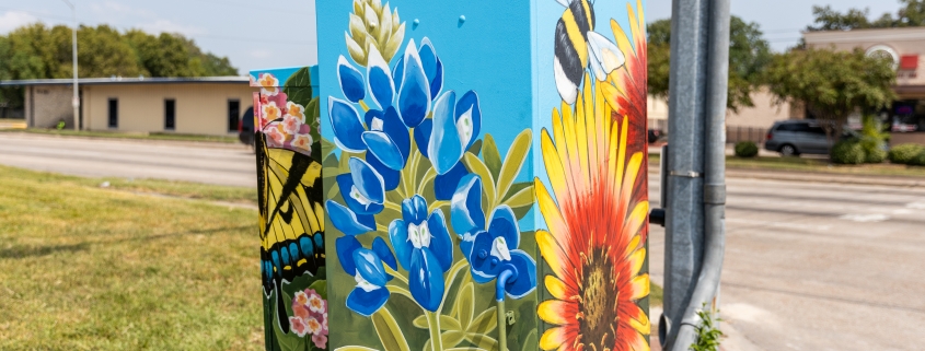 bluebonnet and sunflower art on traffic control box